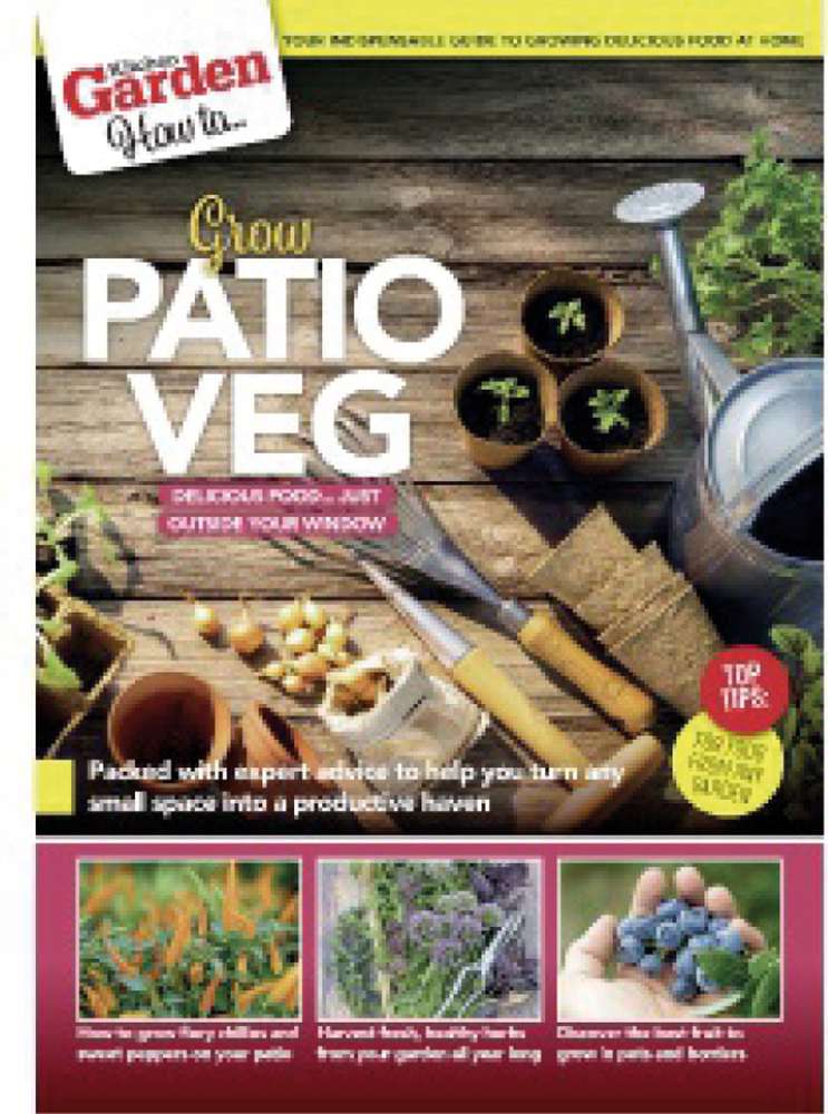 How to... Grow patio Veg