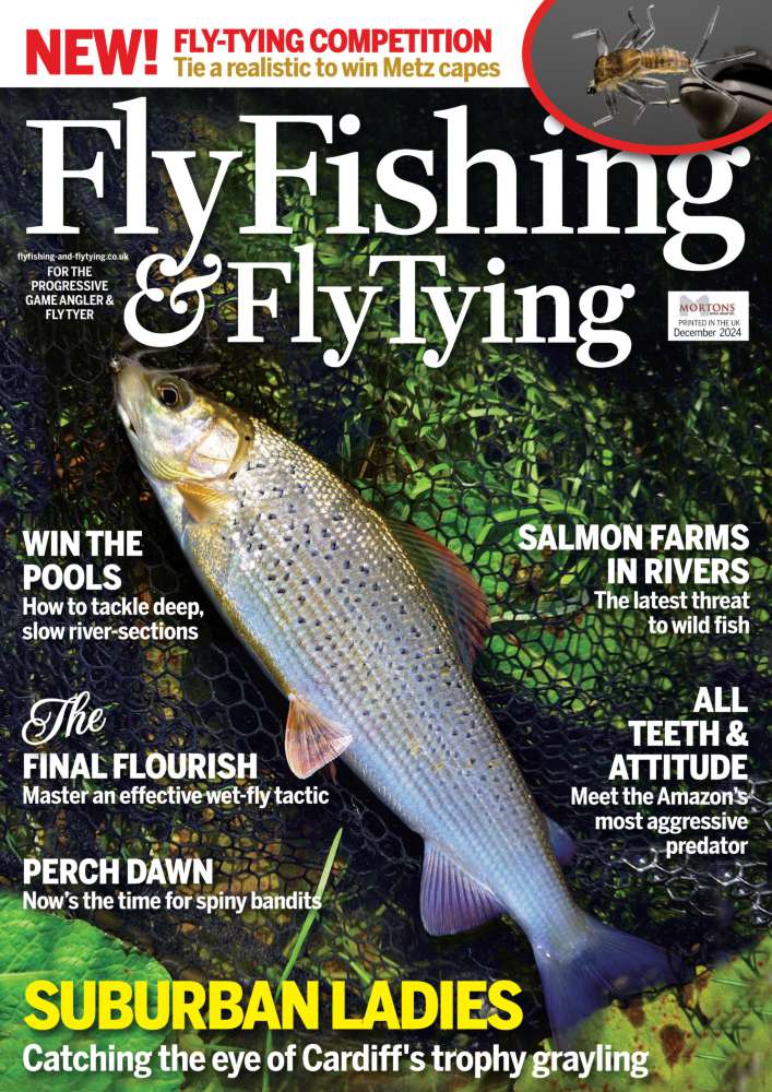 Fly Fishing & Fly Tying